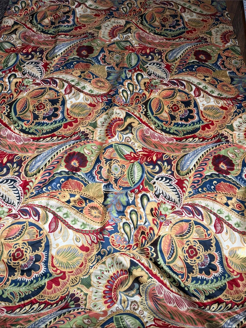 Pier 1 Multicolor Paisley Drapery Panel Size 85x54